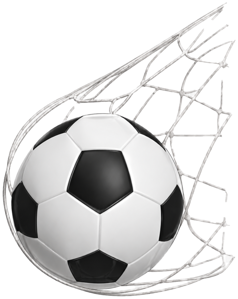 Balon de futbol en la red